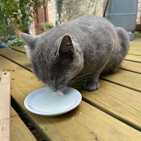 فيلا Santa Caterina - Dog Friendly With Garden Sobrestany المظهر الخارجي الصورة