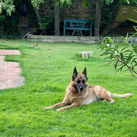 فيلا Santa Caterina - Dog Friendly With Garden Sobrestany المظهر الخارجي الصورة